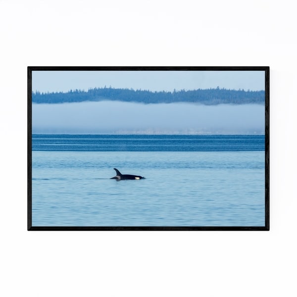 Noir Gallery Orca Wildlife British Columbia Framed Art Print