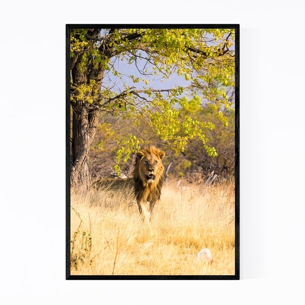 Noir Gallery Namibia Africa Lion Wildlife Framed Art Print