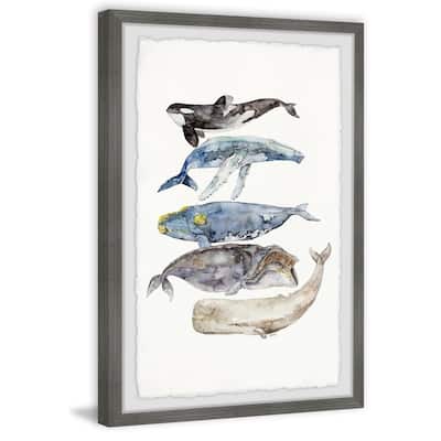 Whale Species' Framed Painting Print - Multi-Color