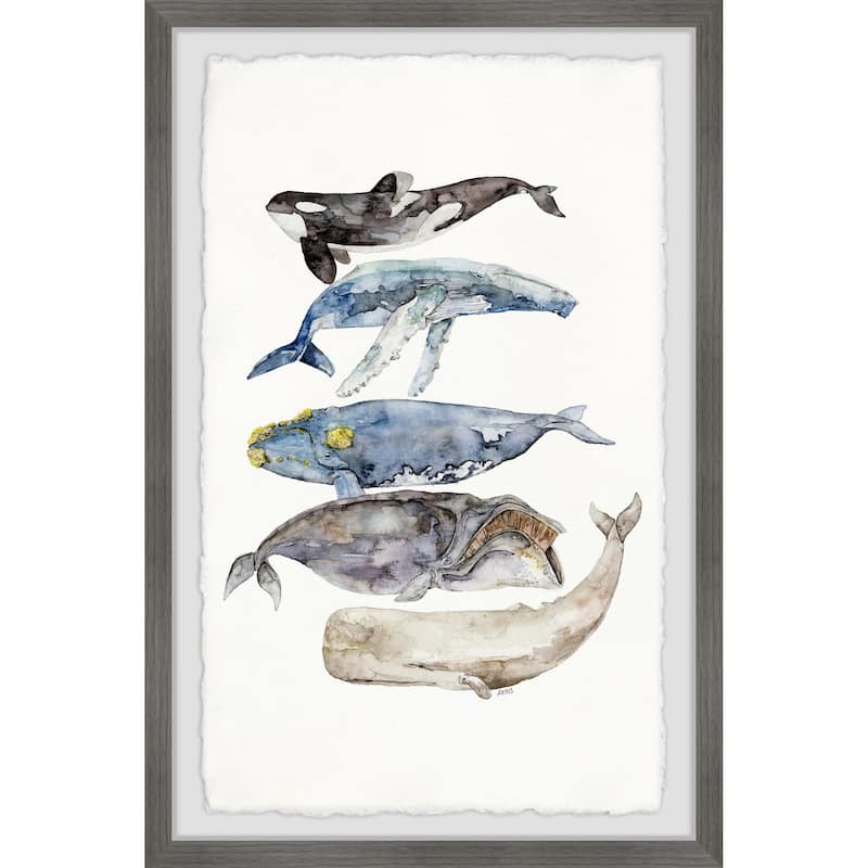 Whale Species' Framed Painting Print - Multi-Color