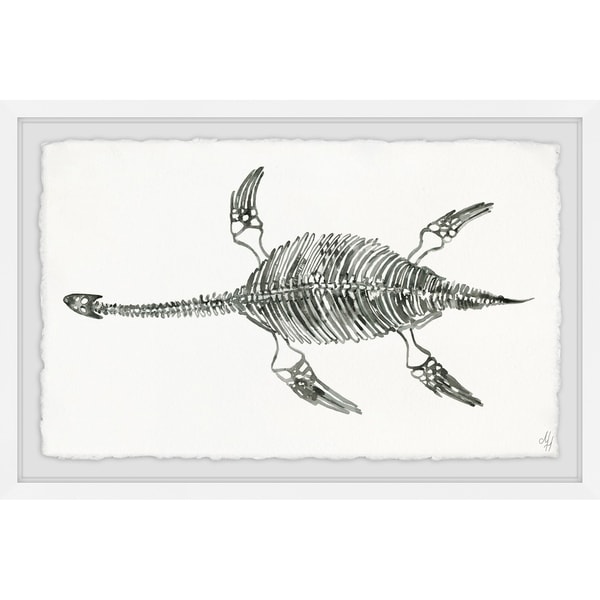 Marmont Hill - Handmade Elasmosaurus Skeleton Framed Print