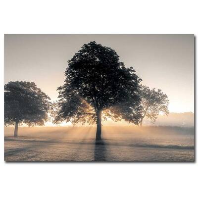 Hidden Treasure by Frank Assaf Gallery Wrapped Canvas Giclee Art (24 in x 36 in, Ready to Hang)