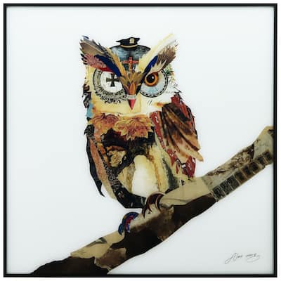 Wisest Owl Printed Glass Wall Art with Black Anodized Aluminum Frame - Brown