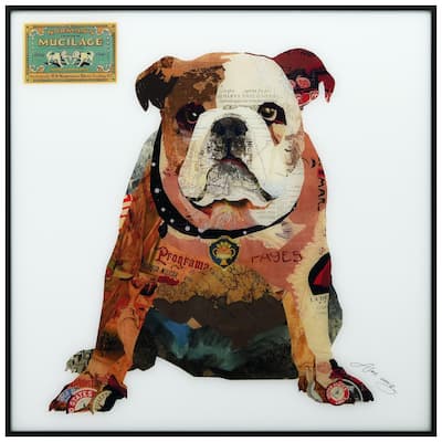 English Bulldog Printed Glass Wall Art Black Anodized Aluminum Frame - Brown