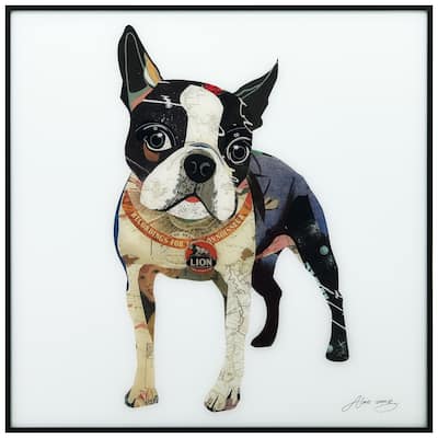 Boston Terrier Printed Glass Wall Art Black Anodized Aluminum Frame