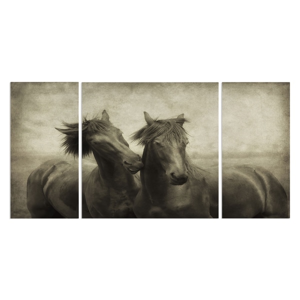 Wexford Home 'Horses Dont Whisper' Premium 3-piece Art Set