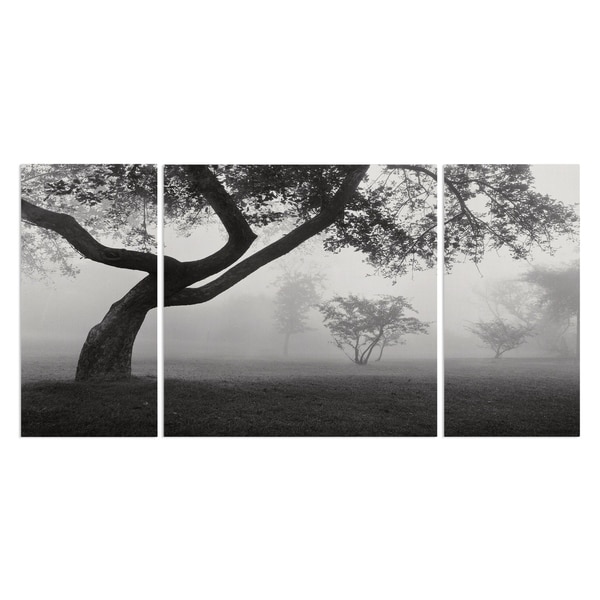 Into the Mist' A Premium Multi-piece Canvas Wall Art