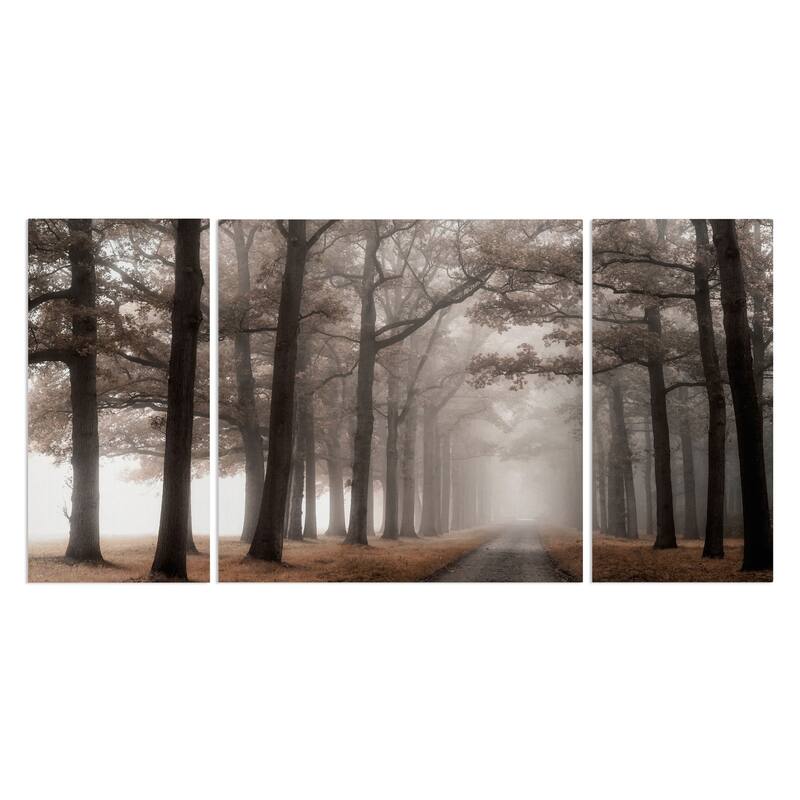 Misty Road-A Premium Multi Piece Art available in 3 sizes