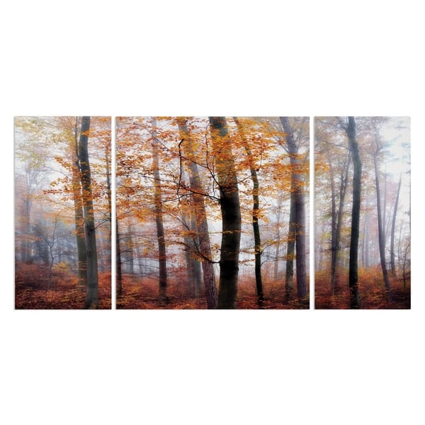 Wexford Home 'Lost in the Forest' 3-piece Wall Art - Bed Bath & Beyond ...