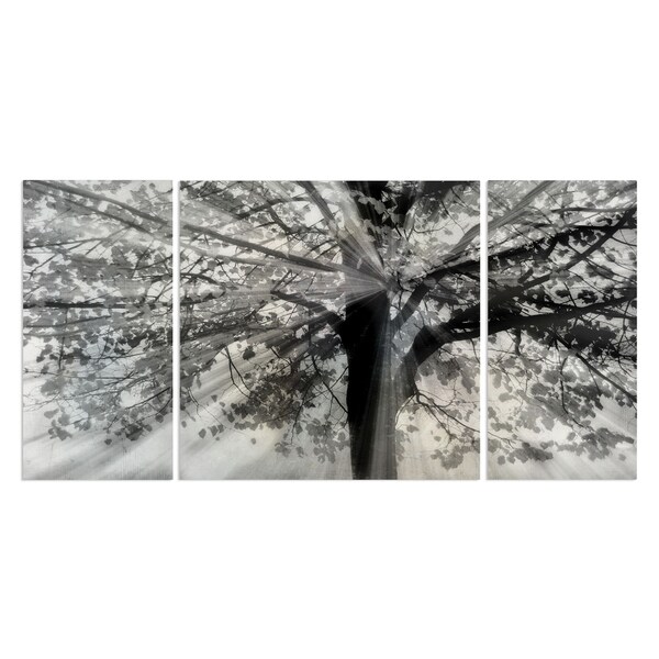 Wexford Home 'Story From Light and Shadow' Canvas Wall Art (Set of 3)