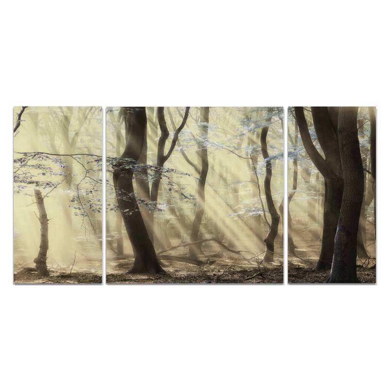 Forest Dimensions-A Premium Multi Piece Art available in 3 sizes