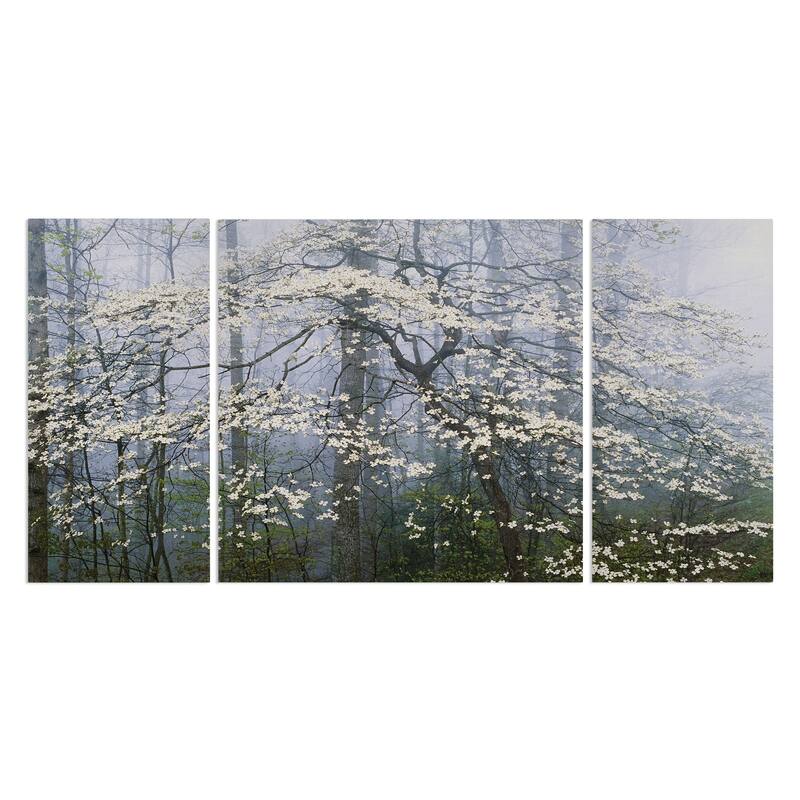  Dogwood Canopy-A Premium Multi Piece Art available in 3 sizes