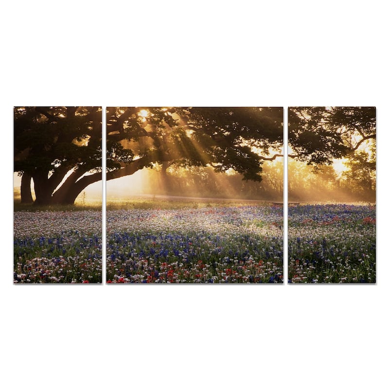 Morning Meadow Sunrise-A Premium Multi Piece Art available in 3 sizes