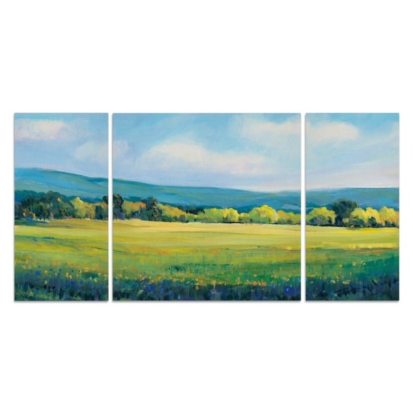 Wexford Home 'Partly Cloudy II' 3-piece Wall Art