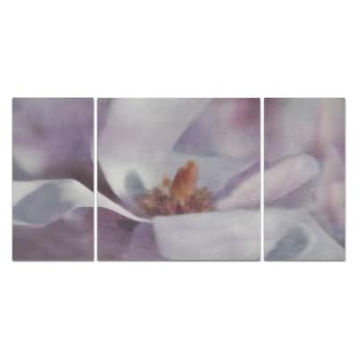 Wexford Home 'Magnolia Melody I' 3-piece Wall Art