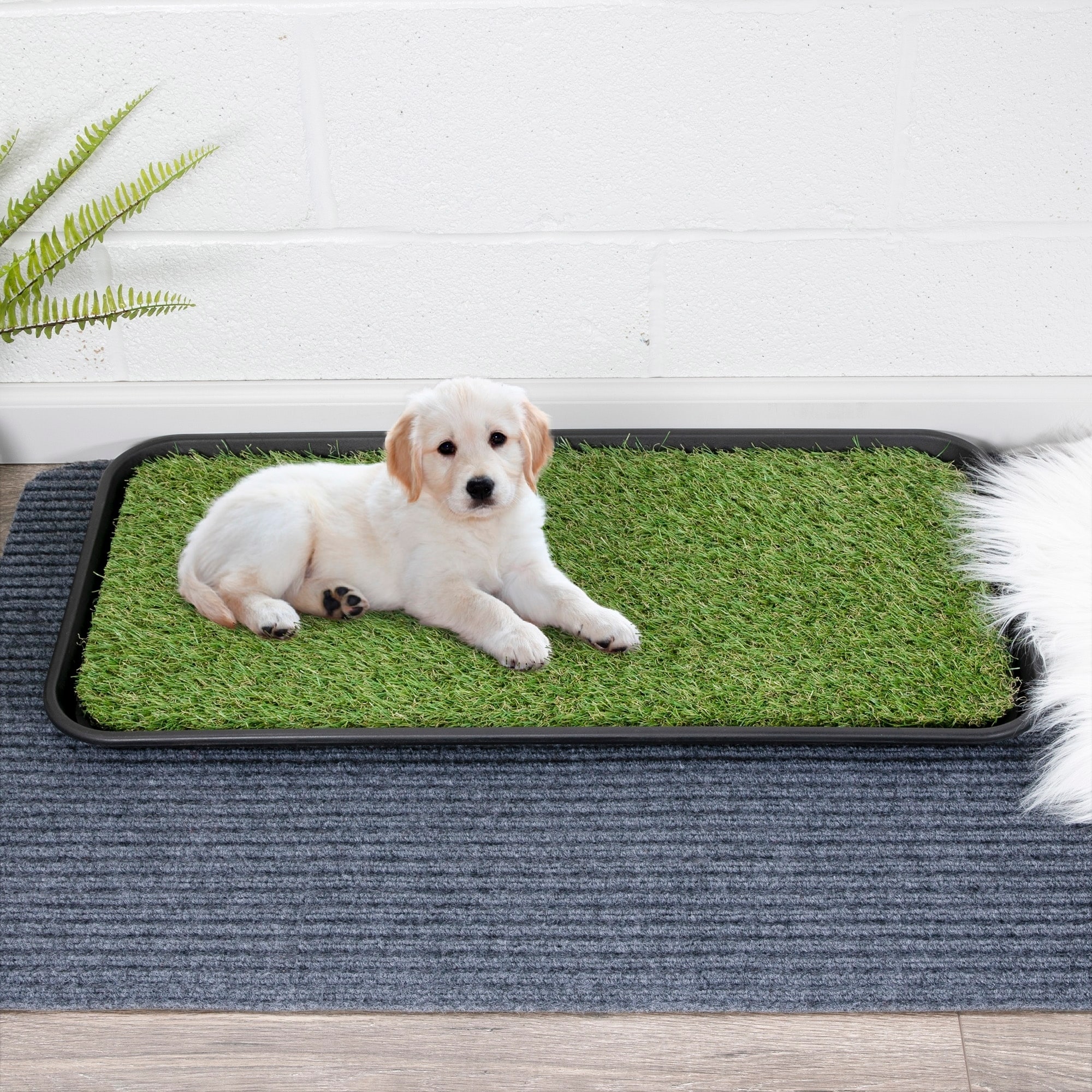 Shop Ottomanson Indoor Outdoor Grass Pee Pad Potty Pet Training