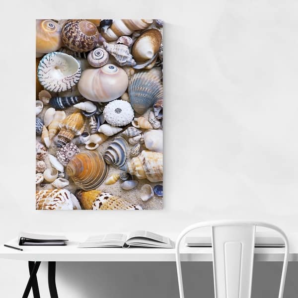 Shop Noir Gallery Andrea Haase Seashells Coastal Beach Cottage