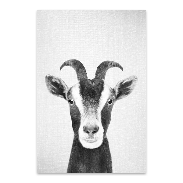 Noir Gallery Gal Design Goat Black White Nursery Kaboo Animal Metal Wall Art Print Noir Gallery Gal Design Goat Black White Nursery Kaboo Animal Metal Wall Art Print