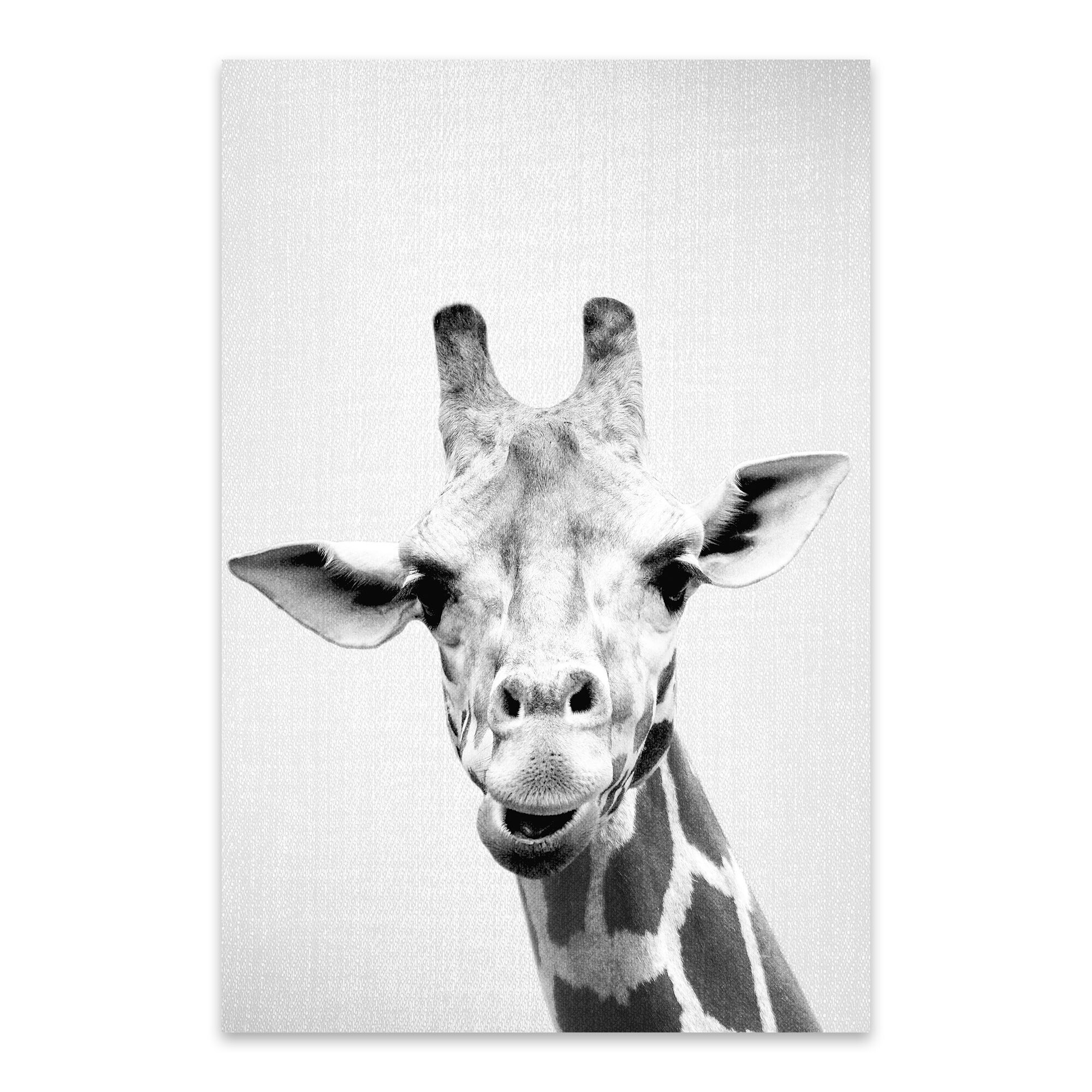 Shop Noir Gallery Gal Design Giraffe Black And White African