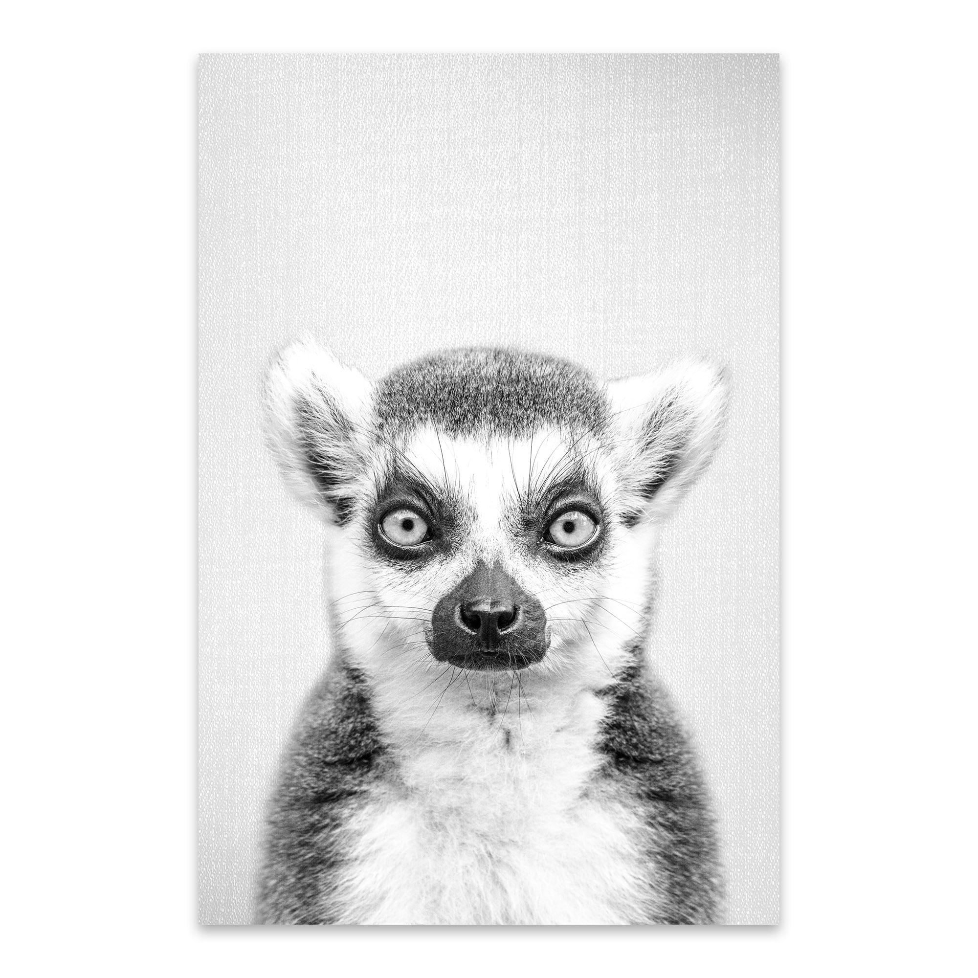 Noir Gallery Lemur Black And White Nursery Animal Metal Wall Art Print Noir Gallery Lemur Black And White Nursery Animal Metal Wall Art Print