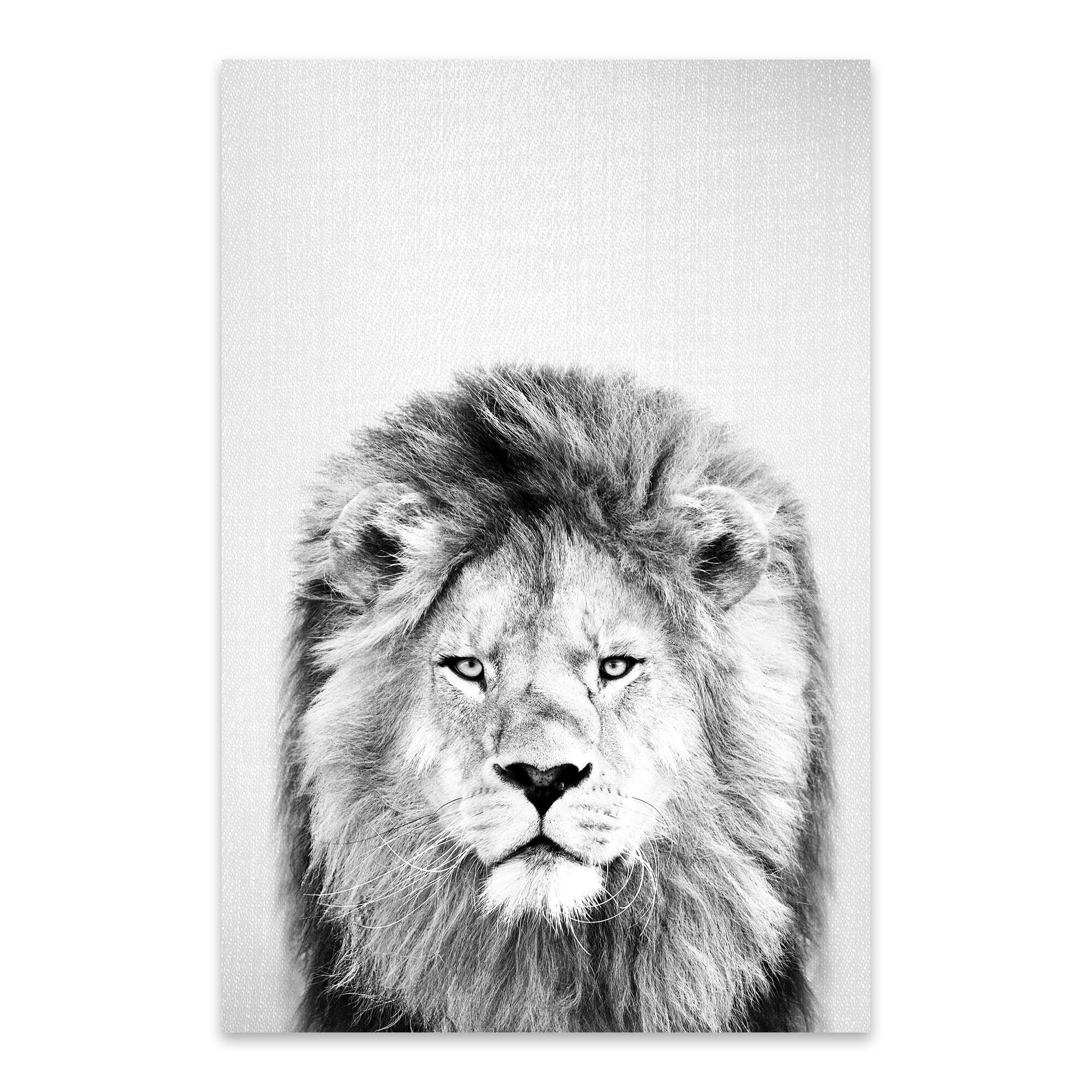 Noir Gallery Gal Design Lion Black White Metal African Noir Gallery Gal Design Lion