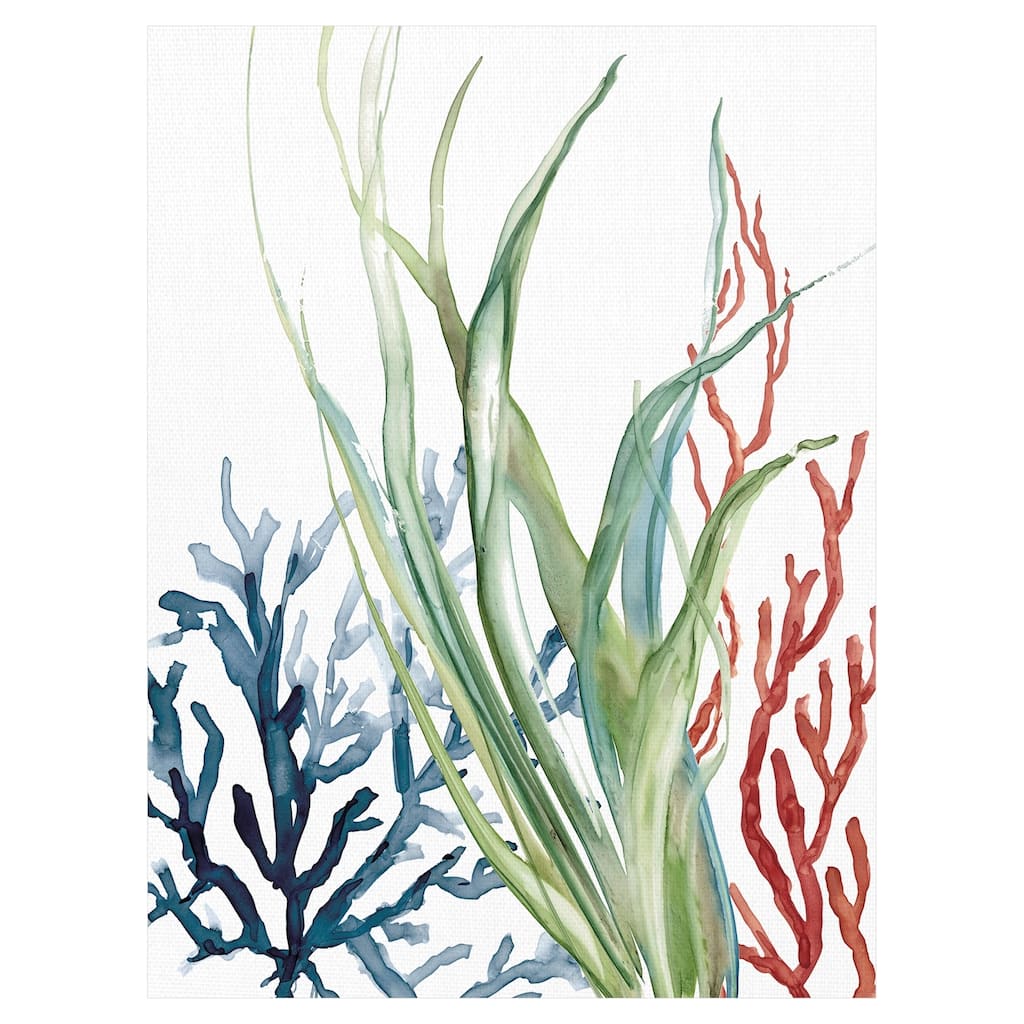 Ocean Magic II by Carol Robinson Canvas Art Print