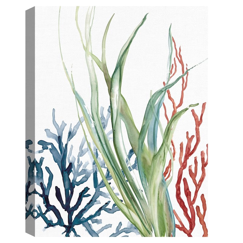 Ocean Magic II by Carol Robinson Canvas Art Print