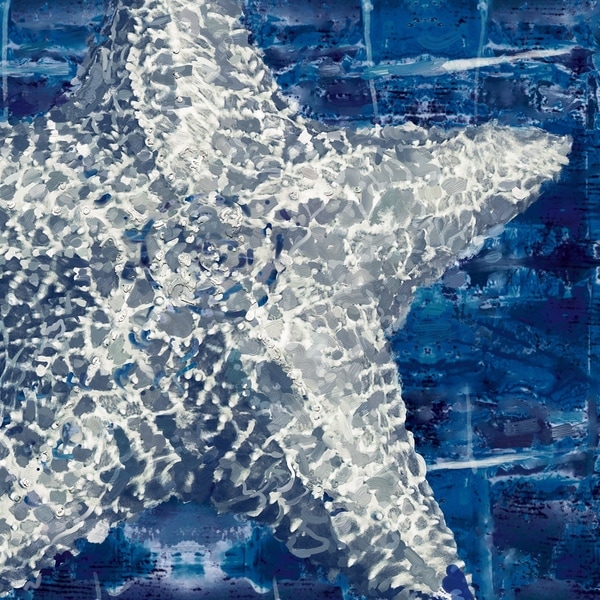 Shibori Sand Dollar, Scallop, Seahorse, Starfish by Studio Arts