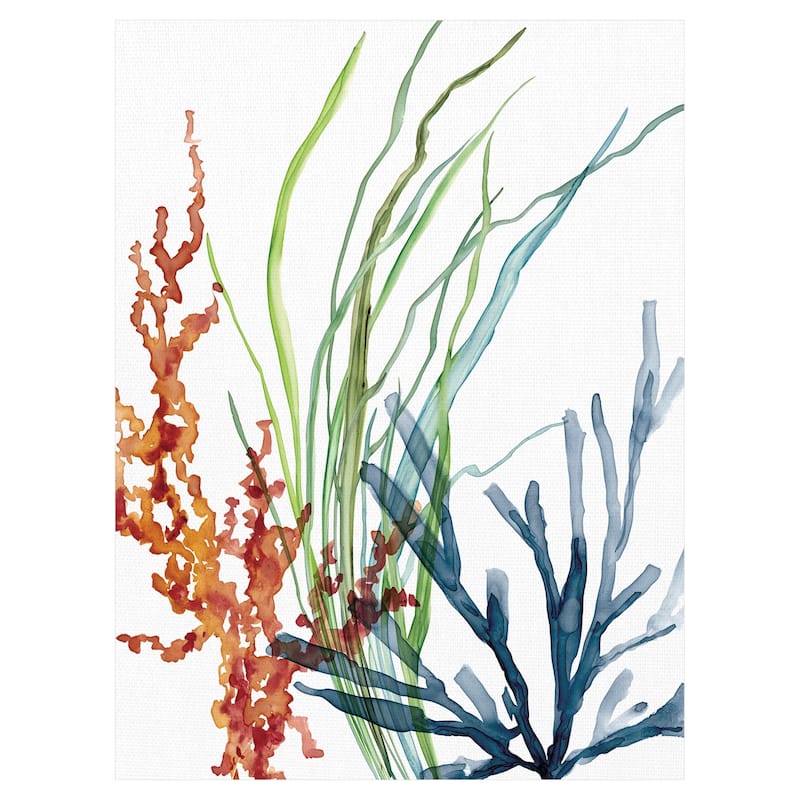 Ocean Magic I by Carol Robinson Canvas Art Print