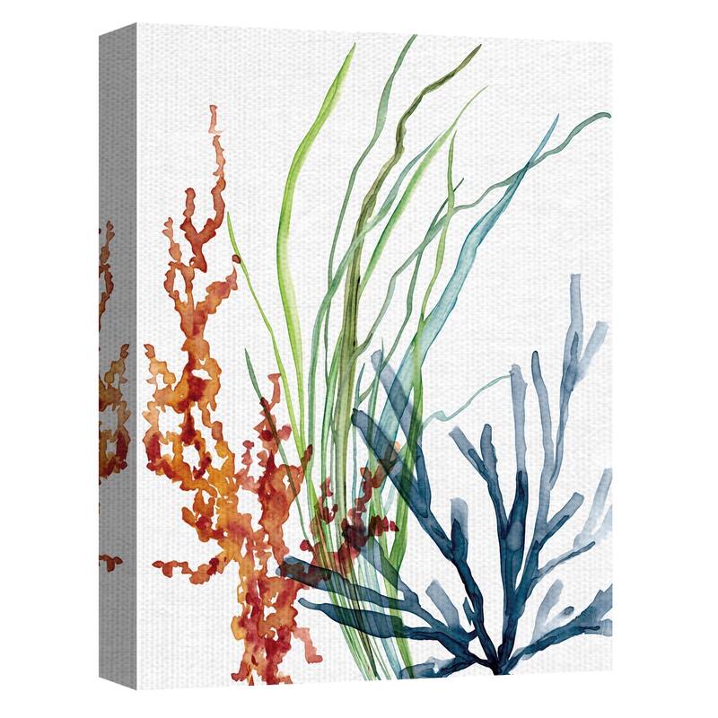 Ocean Magic I & II by Carol Robinson Canvas Art Print Set of 2