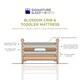 preview thumbnail 14 of 15, Signature Sleep Honest Blossom Natural Wool Crib And Toddler Mattress