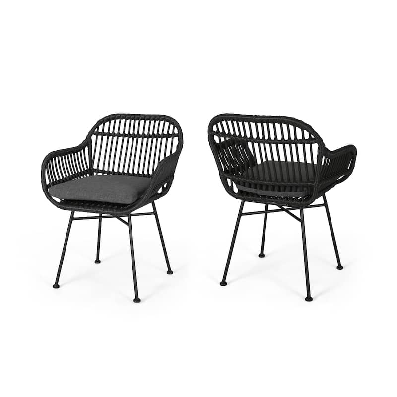 Christopher Knight Home Orlando Woven Faux Rattan Chairs (Set of 2) - Gray, Dark Gray Finish
