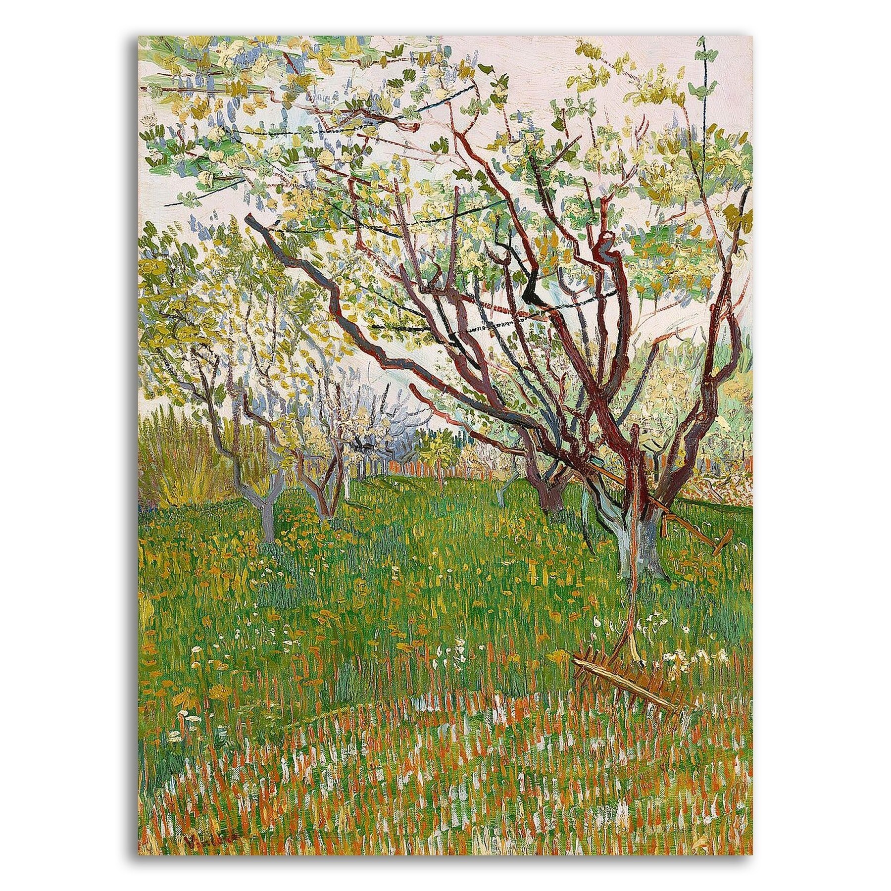 The Flowering Orchard by Vincent Van Gogh, Print on Canvas, | eBay