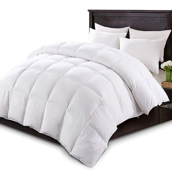 Shop Kasentex White Down Comforter Duvet Insert With Tabs All