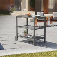 Havenside Home Benji Contemporary Gray Wood Outdoor Bar Cart