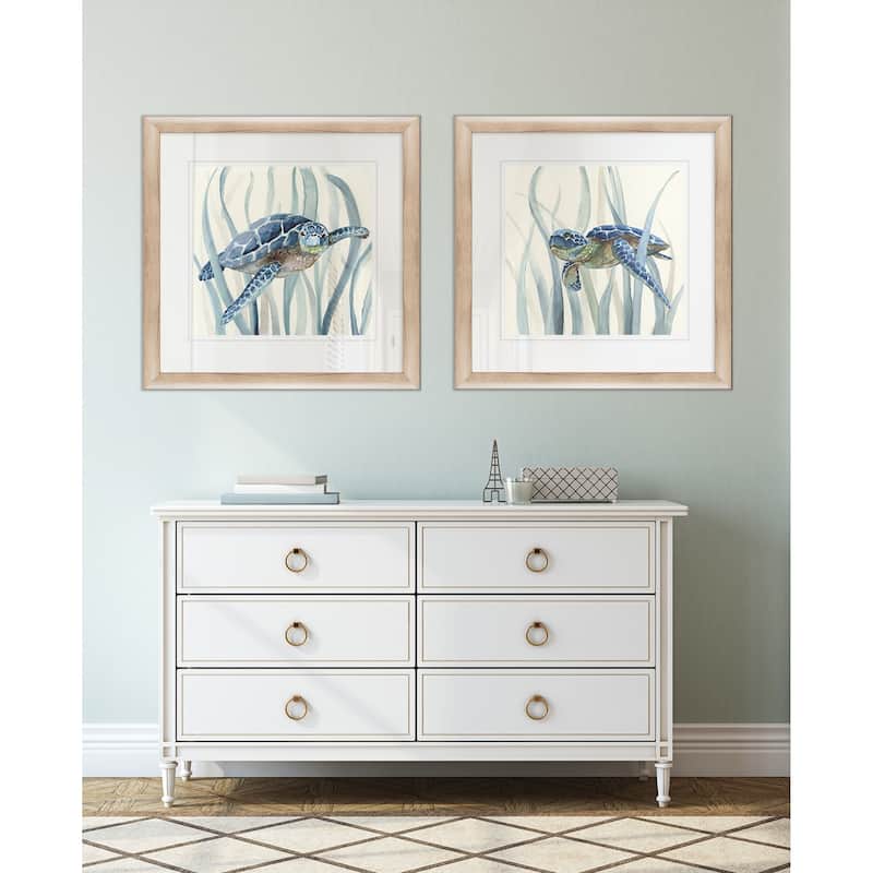  Turtle in Seagrass I -Framed Set