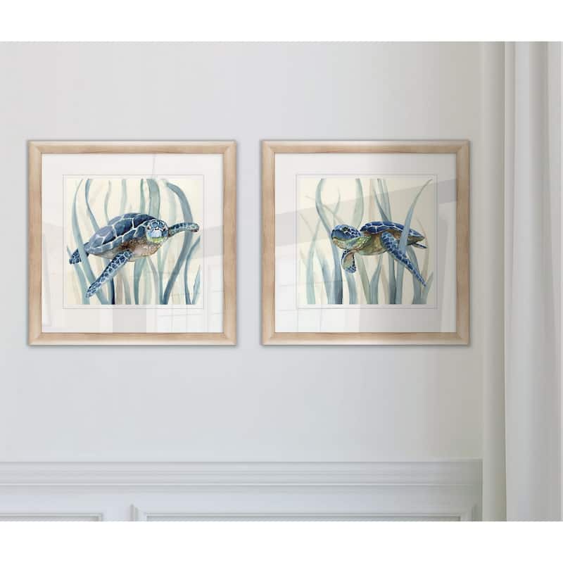  Turtle in Seagrass I -Framed Set