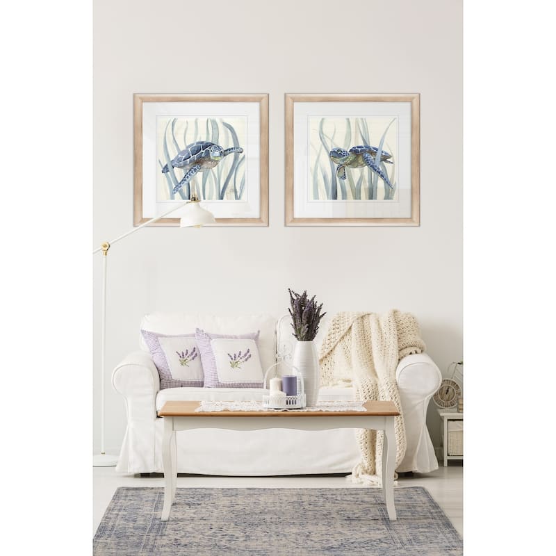  Turtle in Seagrass I -Framed Set