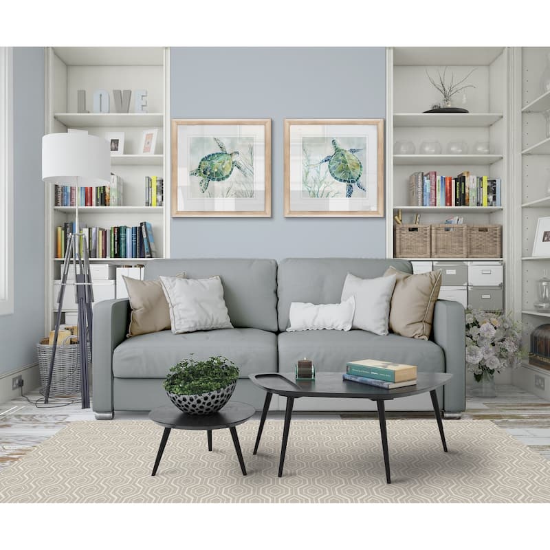 Seaglass Turtle -Framed Set