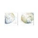 Patricia Pinto 'Water Sand Dollar & Conch' Canvas Art (Set of 2) - Bed ...