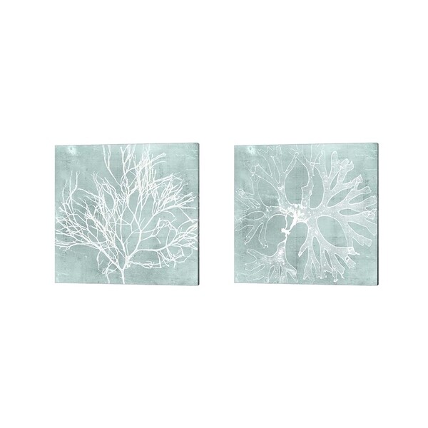 Vision Studio 'Seaweed on Aqua A' Canvas Art (Set of 2)