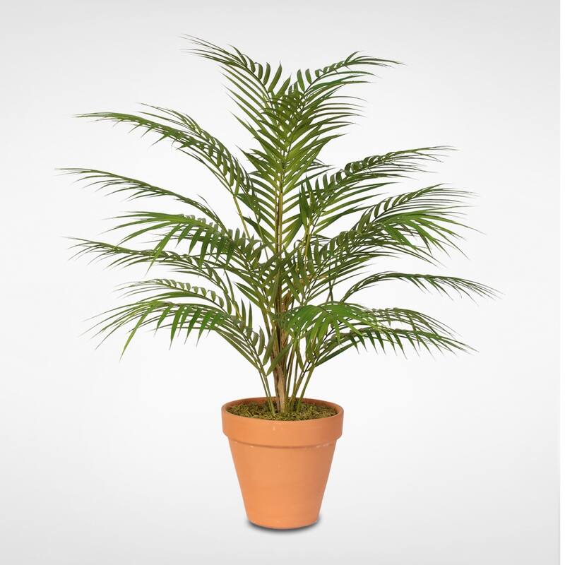 Real Touch Artificial Areca Palm Plant in a Small Clay Pot