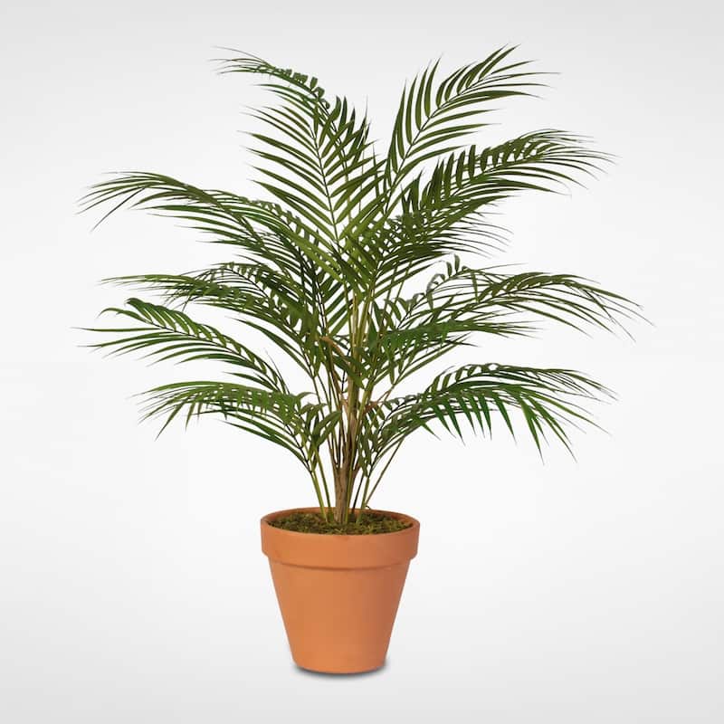 Real Touch Artificial Areca Palm Plant in a Small Clay Pot