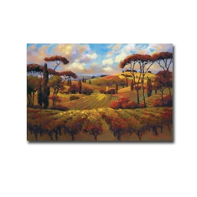 Evening Vineyard by Teresa Saia Gallery Wrapped Canvas Giclee Art (24 in x 36 in, Ready to Hang)