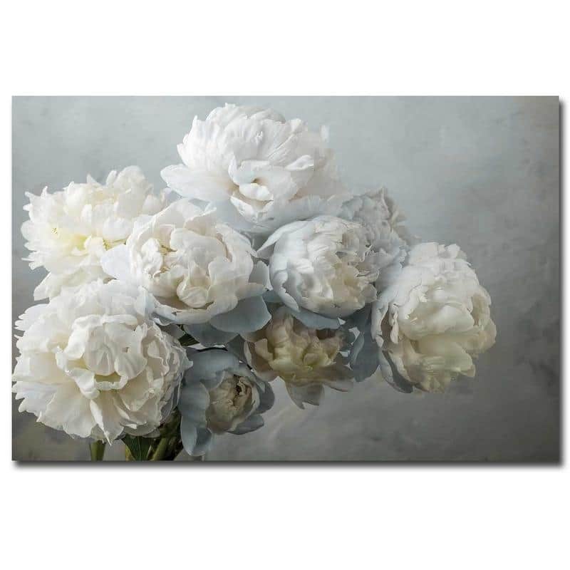 A Gift of Peonies by Frank Assaf Gallery Wrapped Canvas Giclee Art (24 in x 36 in, Ready to Hang)