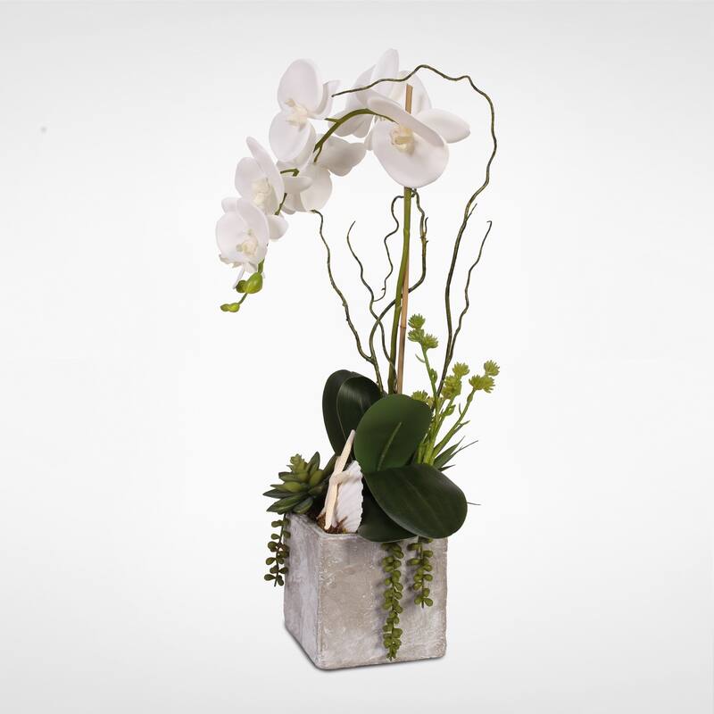 Real Touch White Orchid w/Seashell & Succulents in a Stone Wash Pot