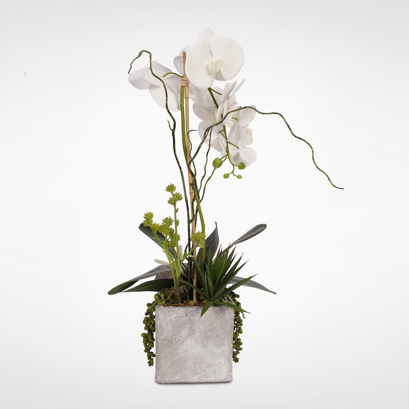 Real Touch White Orchid w/Seashell & Succulents in a Stone Wash Pot
