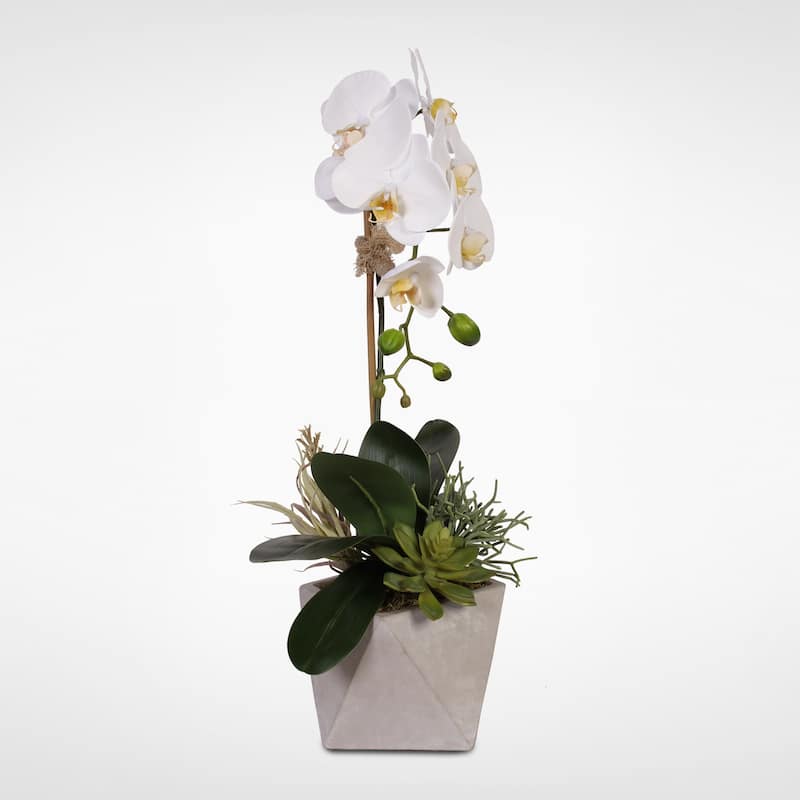 Real Touch White Orchid w/Seashell & Succulents in a Stone Wash Pot