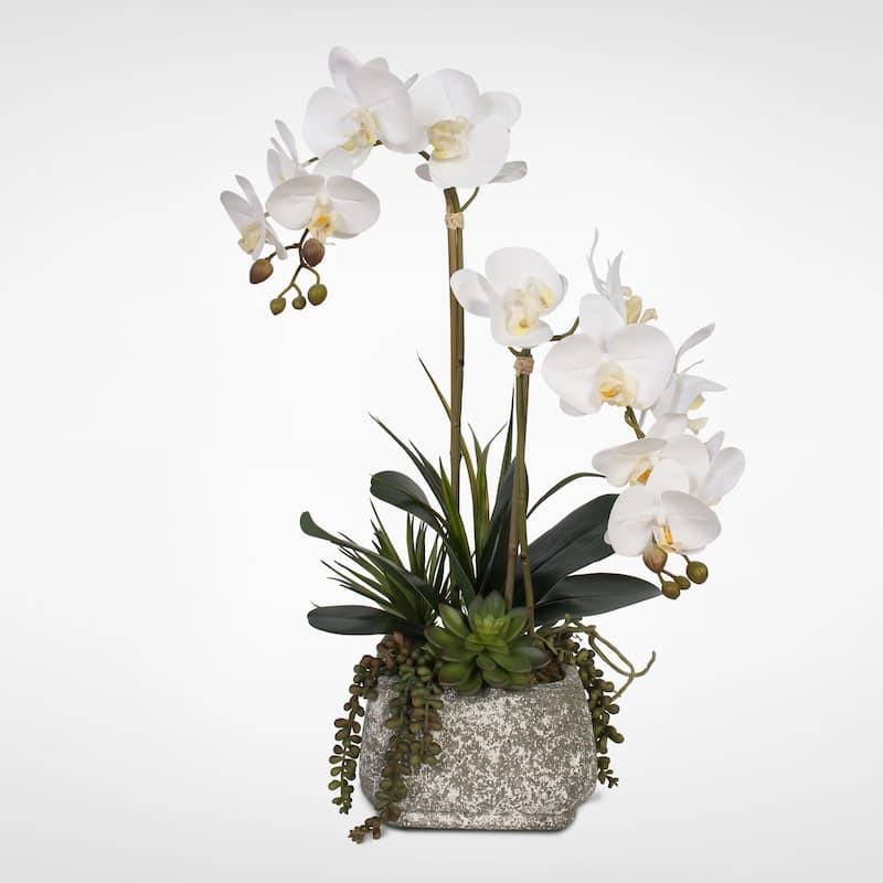 Real Touch Phalaenopsis Orchids with Succulents in a Concrete Pot