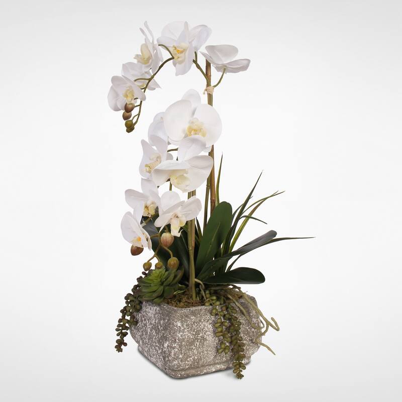 Real Touch Phalaenopsis Orchids with Succulents in a Concrete Pot